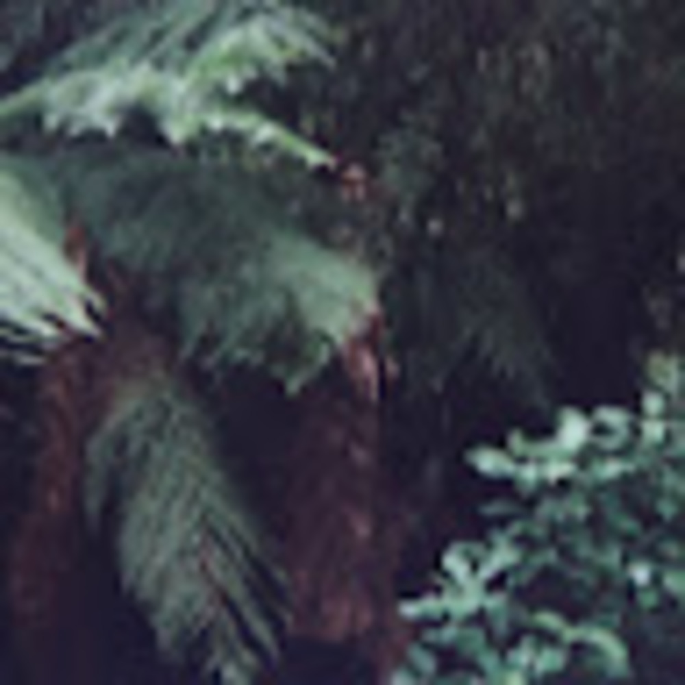 Meet your Posher, Marelle